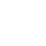 BMW Logo invertiert